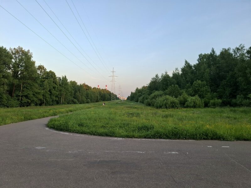 Дорожки в парке Лосиный остров, состояние на 8 июня 2026 по отзыву, фото 4. 